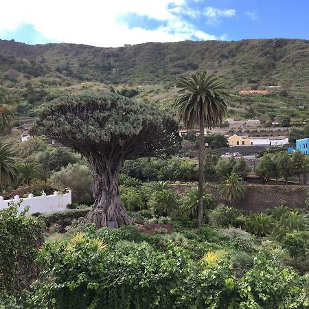 #Ocean View Studio #Wifi Icod De Los Vinos Eksteriør bilde